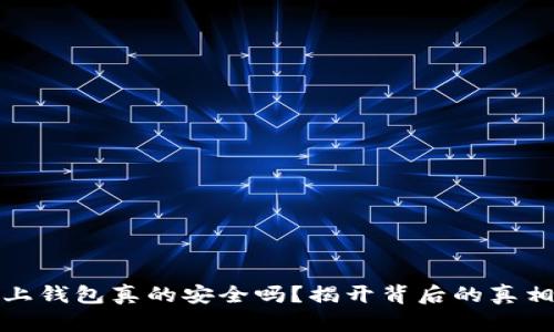 虚拟币上钱包真的安全吗？揭开背后的真相与风险