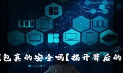 虚拟币上钱包真的安全吗