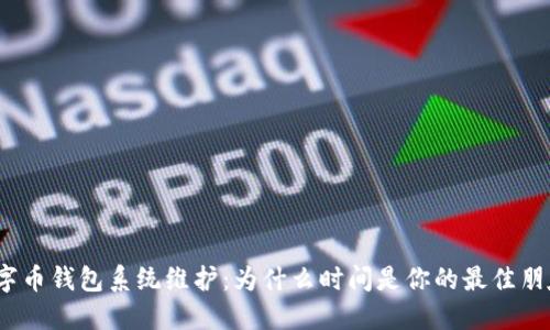 数字币钱包系统维护：为什么时间是你的最佳朋友？