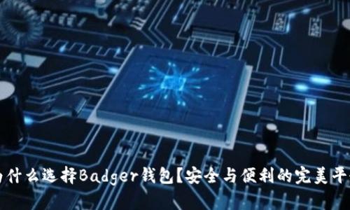 为什么选择Badger钱包?安全与便利的完美平衡