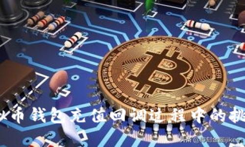 告别困惑:虚拟币钱包充值回调过程中的挑战与解决方案