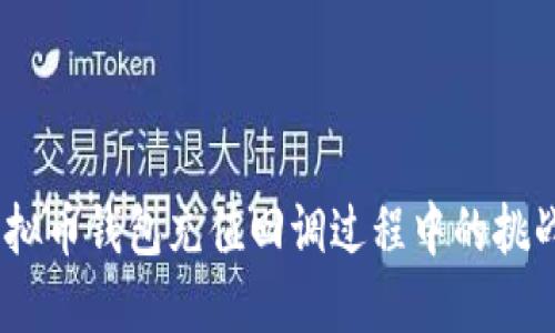 告别困惑:虚拟币钱包充值回调过程中的挑战与解决方案