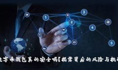 数字币钱包真的安全吗？