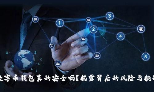 数字币钱包真的安全吗?揭露背后的风险与挑战