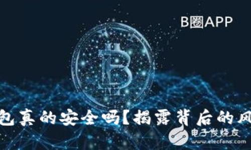 数字币钱包真的安全吗?揭露背后的风险与挑战