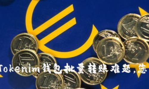 一次性解决Tokenim钱包批量转账难题,您准备好了吗?