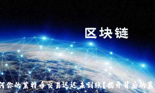 为何你的莱特币交易迟迟未到账?揭开背后的真相!
