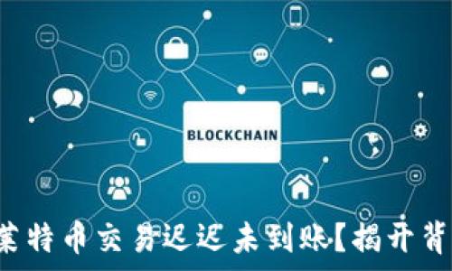 为何你的莱特币交易迟迟未到账?揭开背后的真相!