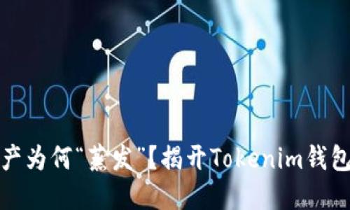 你的数字资产为何“蒸发”?揭开Tokenim钱包的神秘面纱