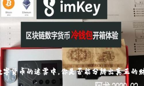 在数字货币的迷雾中，你是否能分辨出真正的财富？
