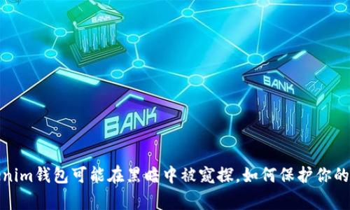 警惕!你的Tokenim钱包可能在黑暗中被窥探,如何保护你的资产不被盗取?