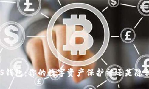 区块链DS钱包：你的数字资产保护神还是隐私的黑洞？