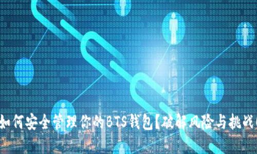 如何安全管理你的BTS钱包?破解风险与挑战!