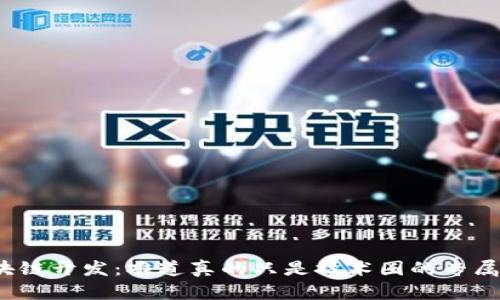 揭秘区块链开发：难道真的只是技术圈的专属守门人？