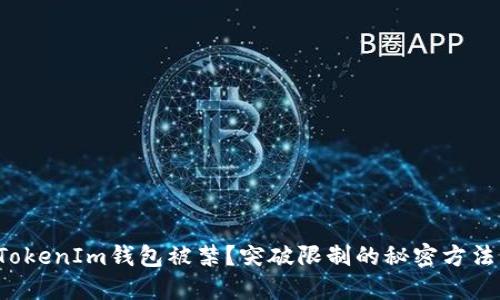 TokenIm钱包被禁?突破限制的秘密方法!