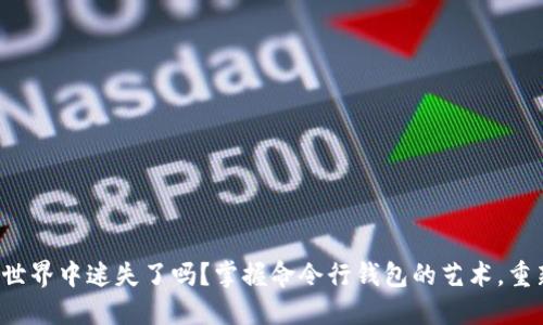 你在门罗币的世界中迷失了吗？掌握命令行钱包的艺术，重新获取控制权！
