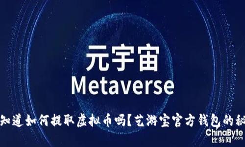 你真的知道如何提取虚拟币吗?艺游宝官方钱包的秘密揭秘