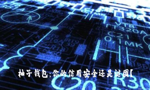 柚子钱包:你的信用安全还是谜团?