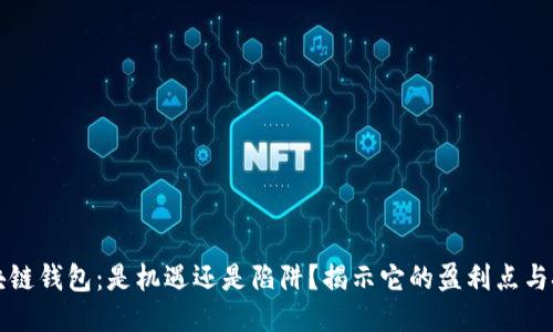 区块链钱包:是机遇还是陷阱?揭示它的盈利点与挑战