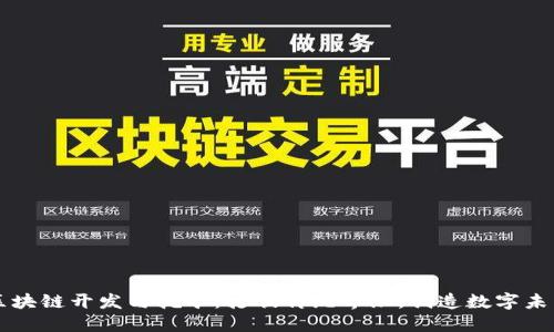 区块链开发与挖矿:打破传统界限,创造数字未来