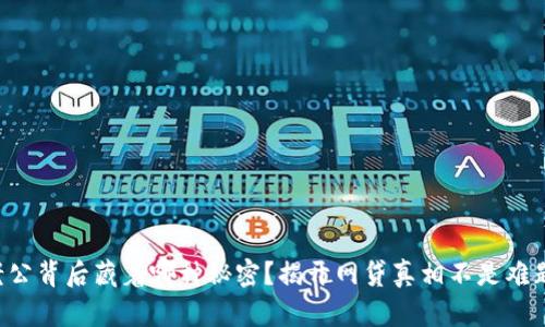 老公背后藏着哪种秘密？揭开网贷真相不是难题！
