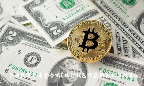 你的数字货币安全吗？揭开钱包被盗的真相与对策！