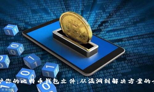 如何保护你的比特币钱包文件：从漏洞到解决方案的全面指南