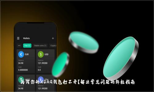 为何你的XDAG钱包打不开？解决常见问题的终极指南
