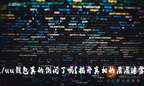 u/uu钱包真的倒闭了吗?揭开真相的层层迷雾!