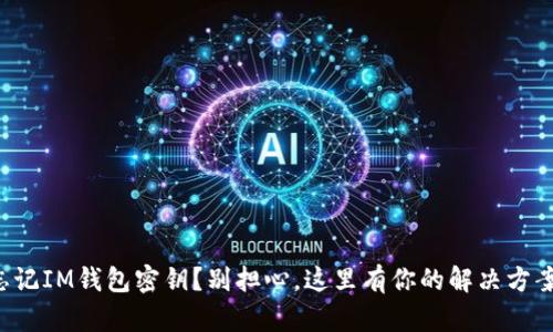 忘记IM钱包密钥？别担心，这里有你的解决方案！